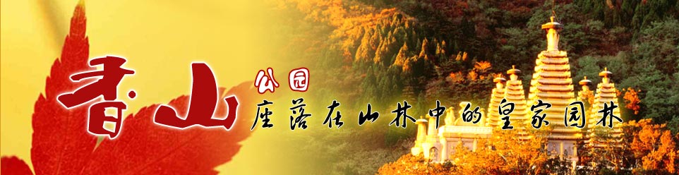 彩色風(fēng)暴來襲2009紅葉最佳觀賞期